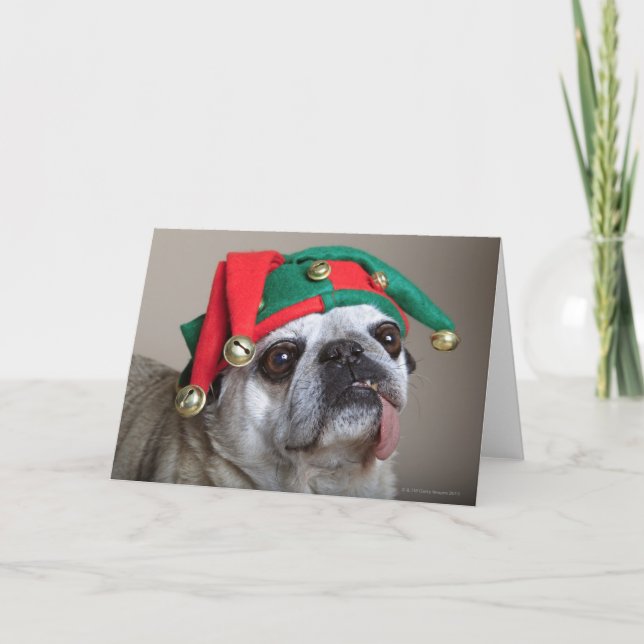 Funny looking pug with tongue hanging out holiday card (Front)