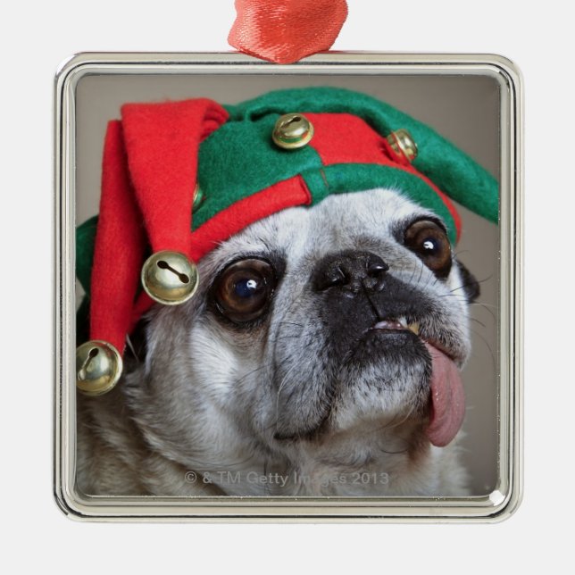 Funny looking pug with tongue hanging out metal tree decoration (Front)