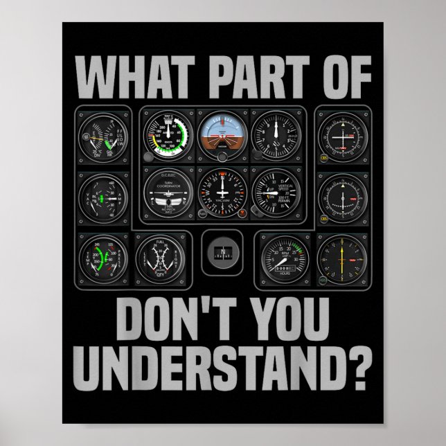 Funny Lot Design For Men Women Airplane Airline Lo Poster (Front)