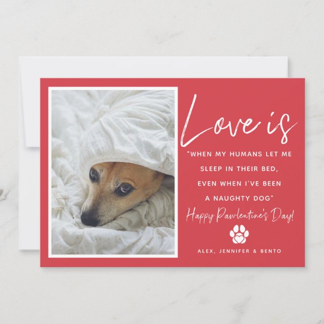 Funny Love Is Pet Valentine's Day Holiday Card (Front)