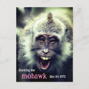 Funny macaque monkey photo holiday postcard