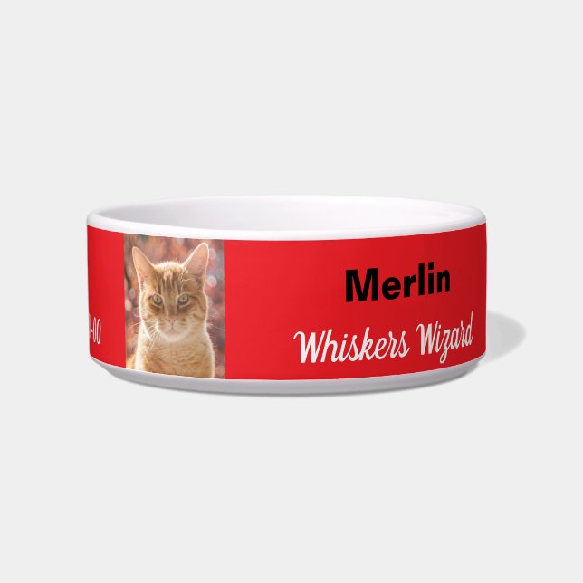 Funny Magical Whiskers Wizard Birthday Red Cat Bowl (Right)