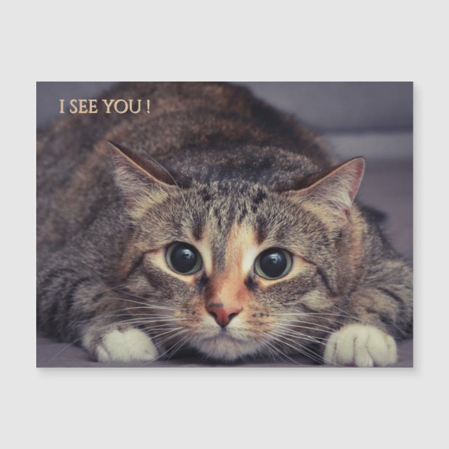 Funny Magnetic I See You Cat Magnet (Front)
