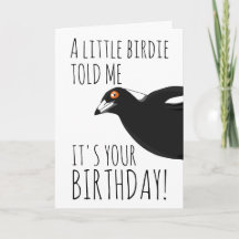 Funny magpie birthday card