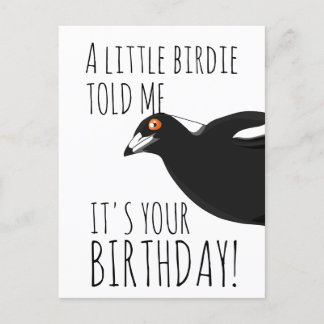 Funny magpie postcard