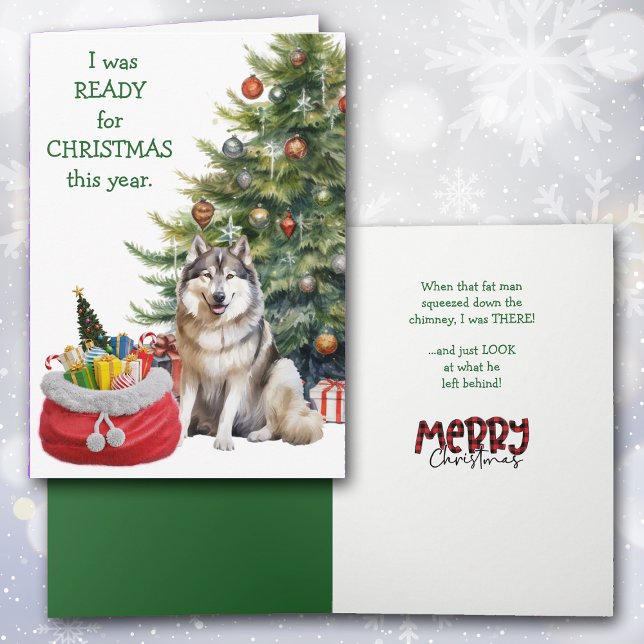 Funny Malamute Dog Ready for Christmas Holiday Card (Creator Uploaded)