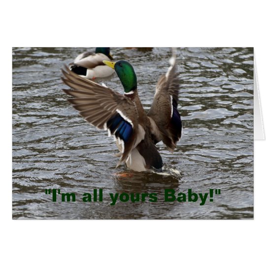 Funny Mallard Duck Birthday Card