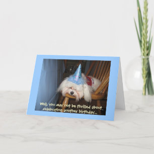 Funny Maltese Birthday Card