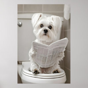 Funny Maltese Dog Bathroom Print, Newspaper Art Poster