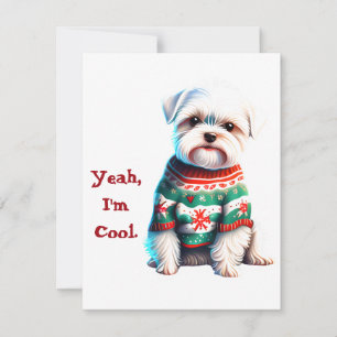 Funny Maltese in Ugly Sweater Christmas Card