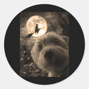 Funny Maltese Selfie Full Moon Flying Witch Classic Round Sticker