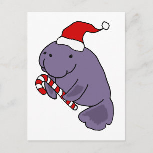 Funny Manatee in Santa Hat Christmas Cartoon Postcard