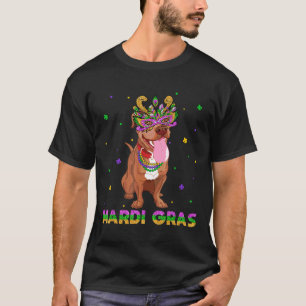 Funny Mardi Gras Pitbull Mask And Beads Gift T-Shirt