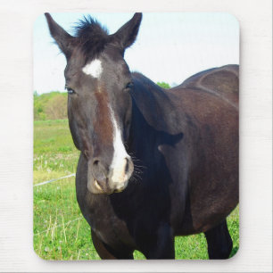Funny Mare Mouse Mat