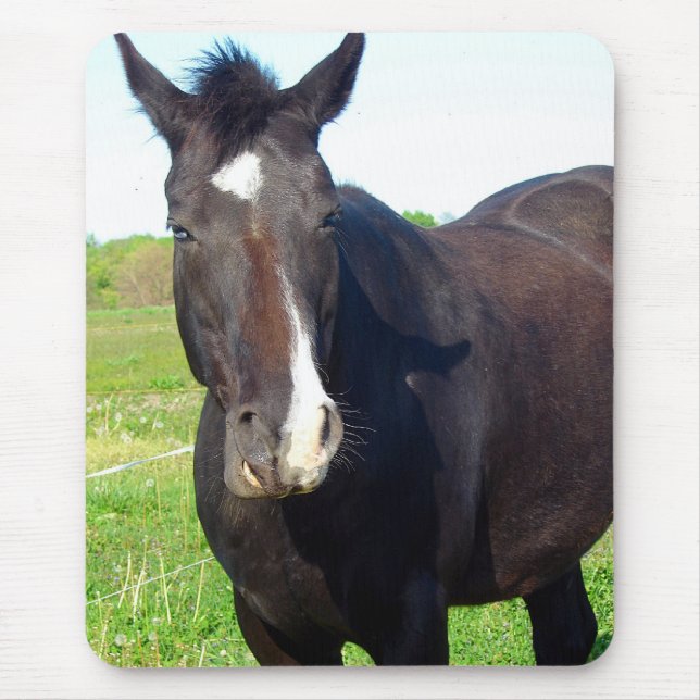 Funny Mare Mouse Mat (Front)