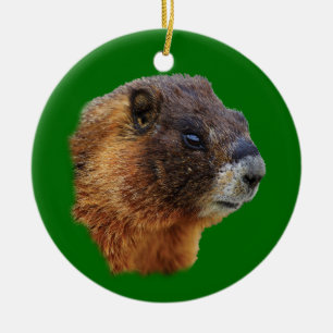 funny marmot ceramic tree decoration