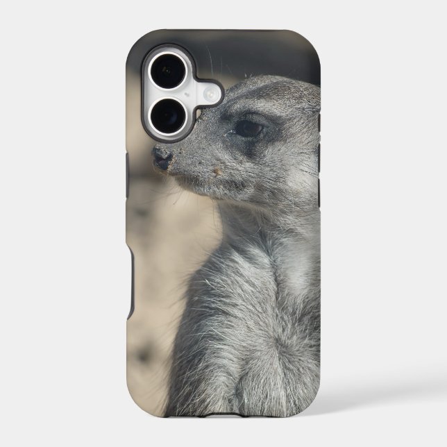 Funny Meerkat (Back)