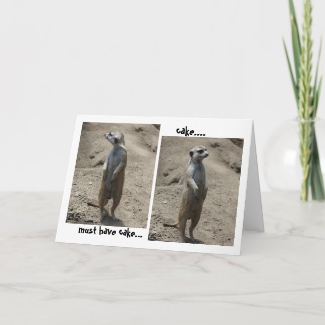 Funny Meerkat Birthday card; must have cake! Card (Front)