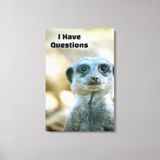 Funny Meerkat I Have Questions Animal Humour Canvas Print