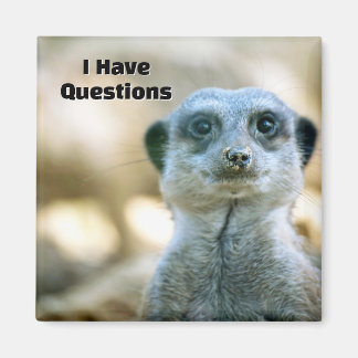 Funny Meerkat I Have Questions Animal Humour Magnet