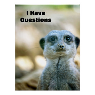 Funny Meerkat I Have Questions Animal Humour Poster