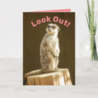 Funny Meerkat: Look Out! You're a Meer Year Older