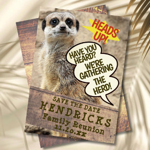 Funny Meerkat themed Family Reunion Invitation