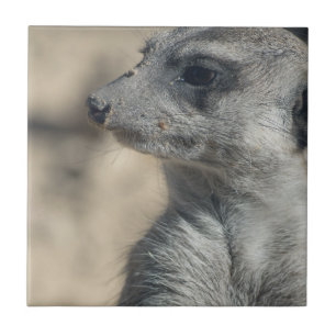 Funny Meerkat Tile