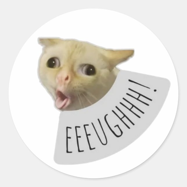 funny meme cat classic round sticker (Front)