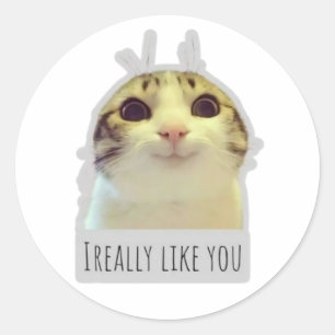 funny meme cat classic round sticker