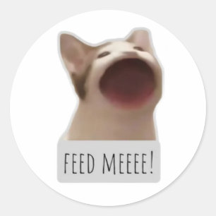 funny meme cat classic round sticker