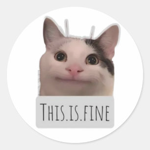 funny meme cat classic round sticker
