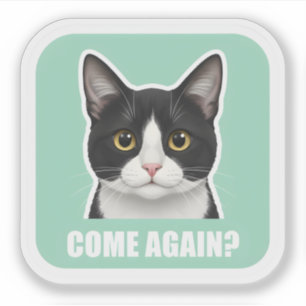 Funny Meme Cat – “Come Again?” Sassy Cat Reaction,