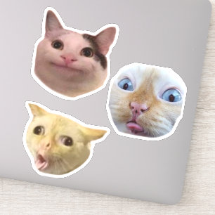 Funny Meme Cat Face Sticker