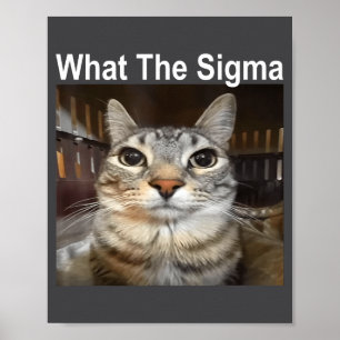 Funny Meme Cat What The Sigma Cute Cat Meme Quote  Poster