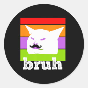 Funny Meme Saying Bruh With Cat-cinco De Mayo-mexi Classic Round Sticker