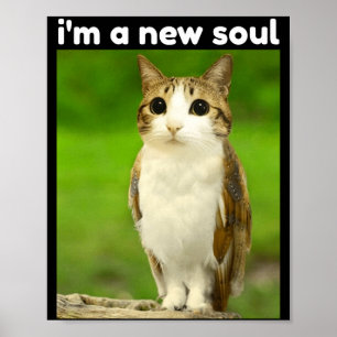 Funny Meowl Brainrot Meme Cat Owl Poster