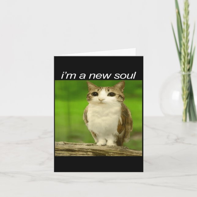 Funny Meowl Cat Owl Brainrot Cursed Internet Silly Card (Front)