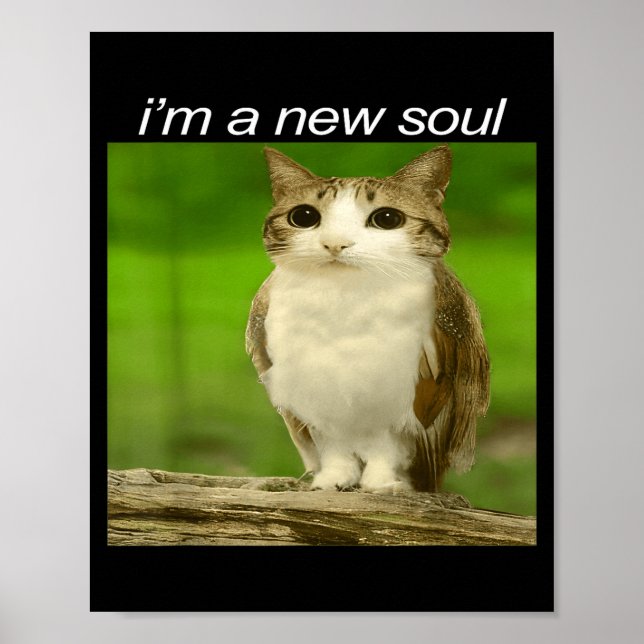 Funny Meowl Cat Owl Brainrot Cursed Internet Silly Poster (Front)