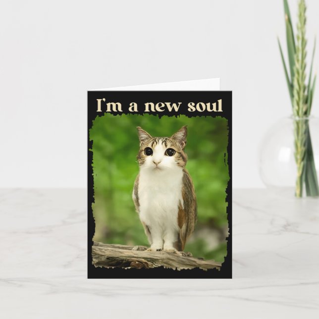 Funny Meowl Meme, Cat Owl Meme Brainrot Gen Alpha  Card (Front)