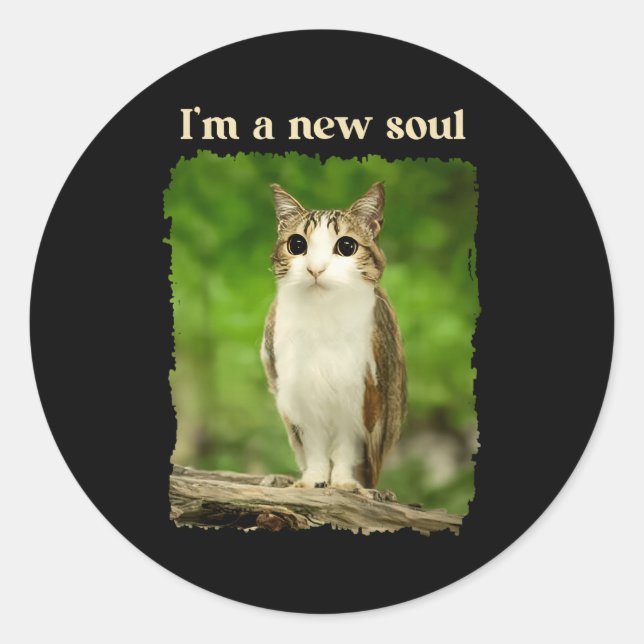 Funny Meowl Meme, Cat Owl Meme Brainrot Gen Alpha  Classic Round Sticker (Front)
