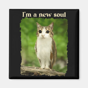 Funny Meowl Meme, Cat Owl Meme Brainrot Gen Alpha Magnet