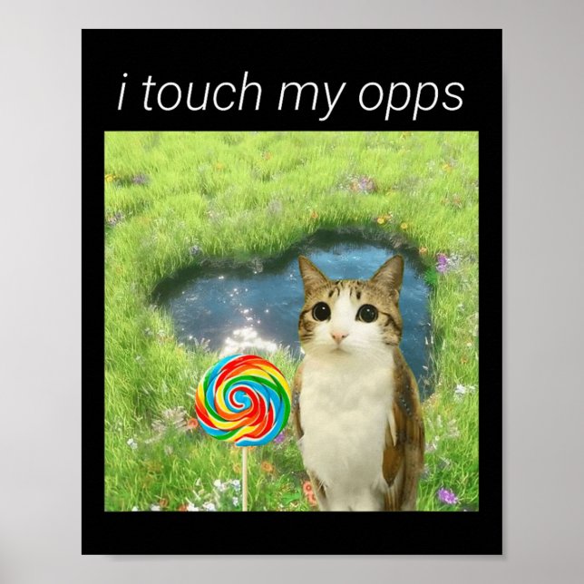 Funny Meowl Meme, Cat Owl Meme Brainrot Gen Alpha  Poster (Front)