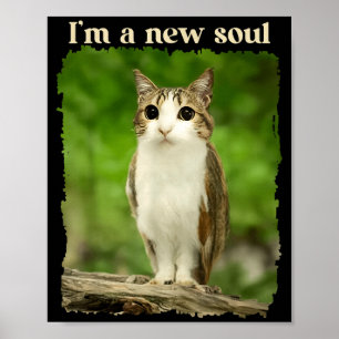 Funny Meowl Meme, Cat Owl Meme Brainrot Gen Alpha Poster