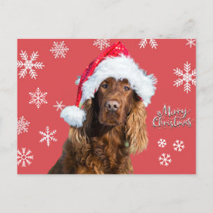 Funny Merry Christmas Dog in Santa's Hat Holiday Postcard