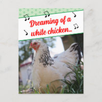 Funny Misheard Song Lyrics White Chickens Photo