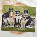 Funny Modern New Address Custom Pet Dog Photo Postcard<br><div class="desc">🎉🐾 We've Moved! 🐾🎉 Our humans have found a new place to fetch sticks and take naps, and we couldn't wait to share the news! Announcing our pawsitively adorable Moving Announcement featuring your furry best friends! 📸 Full Photo Design: Capture the charm of your canine companions with a full photo...</div>