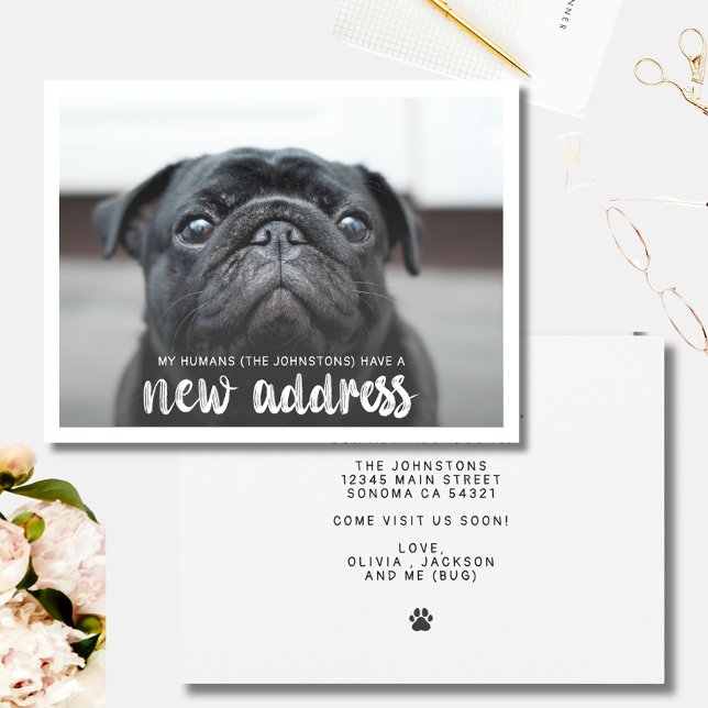 Funny Modern New Address Pet Dog Photo  Invitation (Creator Uploaded)