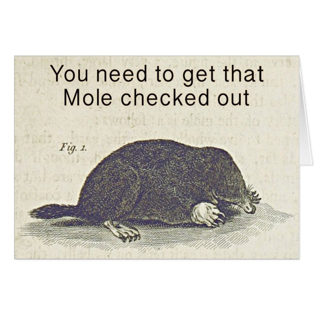Funny Mole Greetings Card, Animal Birthday Humour (Front Horizontal)