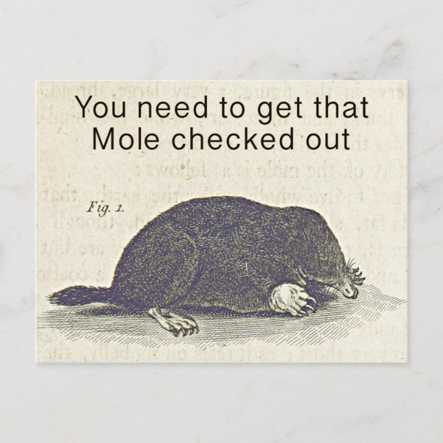Funny Mole Greetings Card, Animal Birthday Humour Postcard (Front)